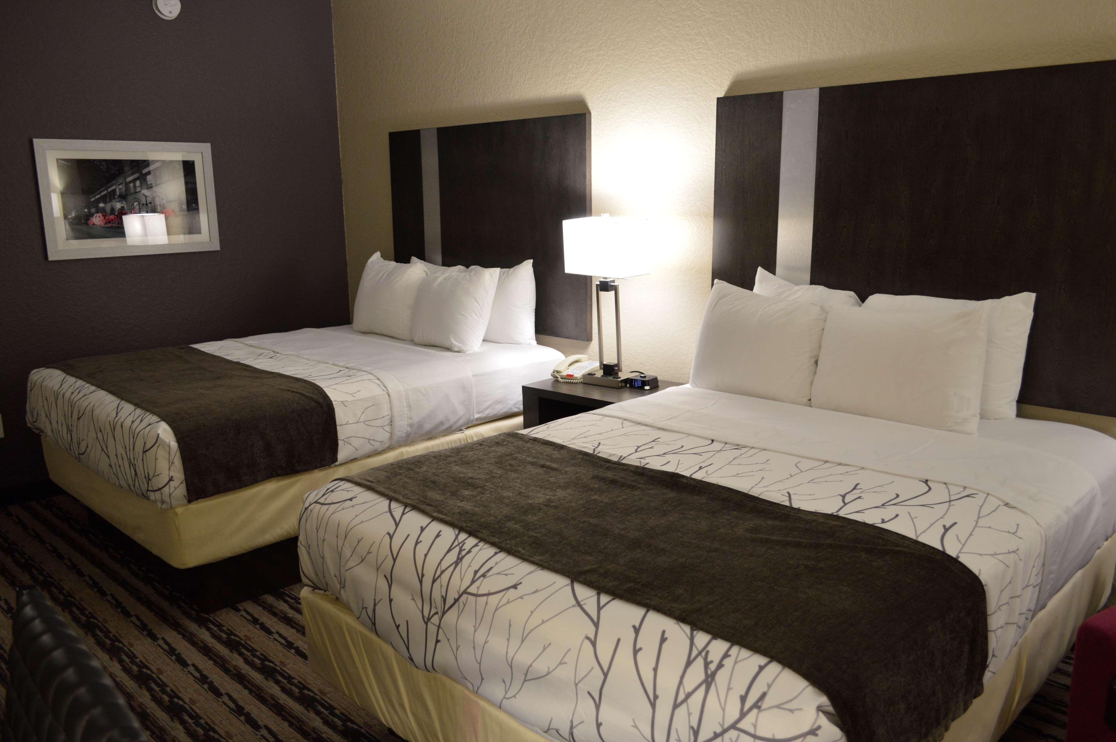 Best Western Boerne Inn & Suites Bagian luar foto