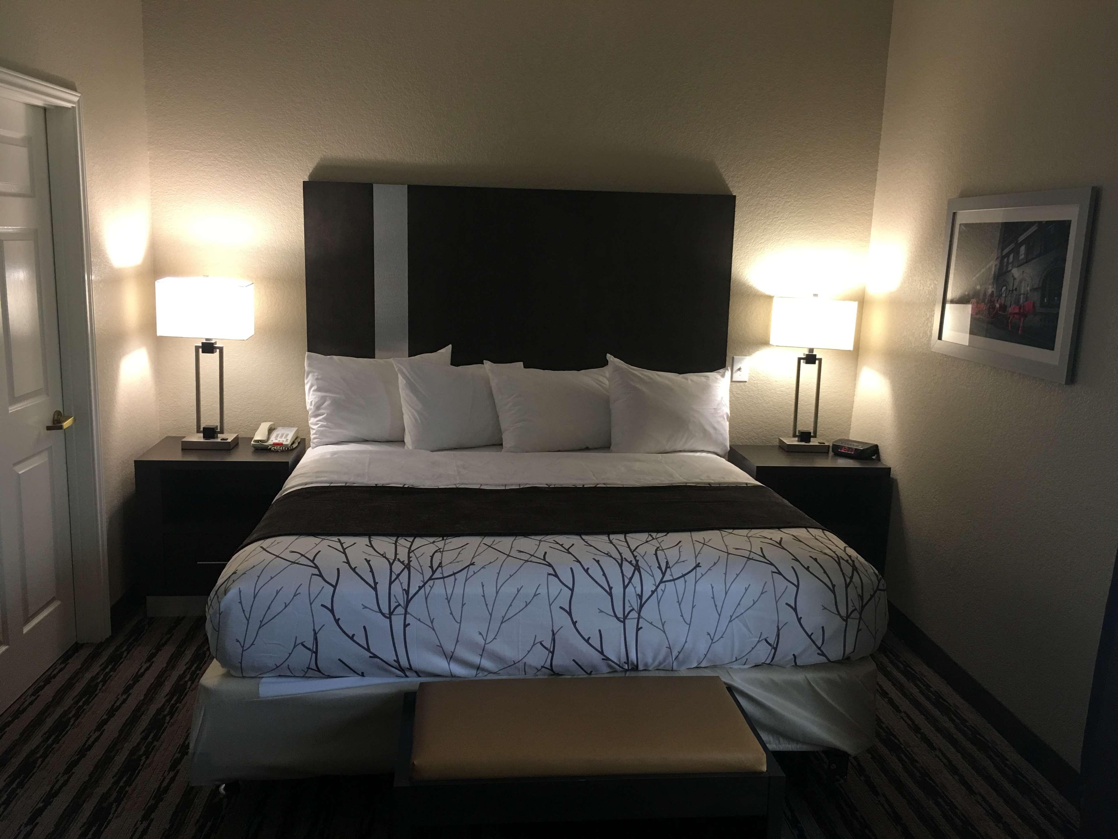 Best Western Boerne Inn & Suites Bagian luar foto